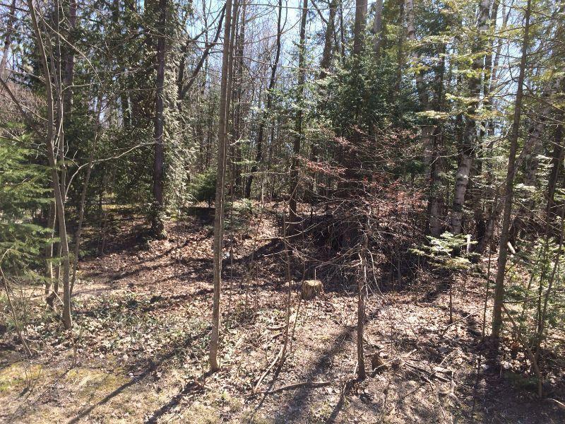 Best available Lot in Port Elgin