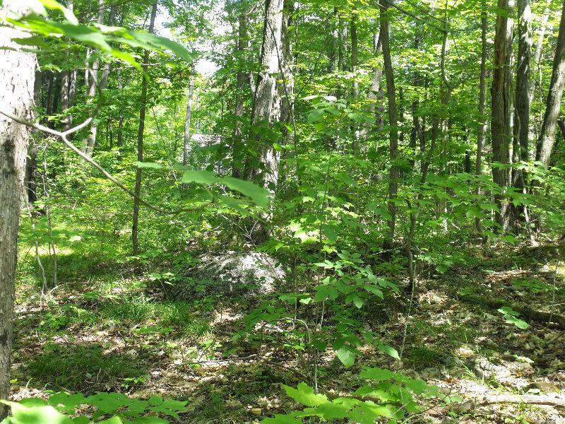 BEAUTIFUL 1.28 ACRE CORNER LOT WITH DEEDED WATERFRONT ACCESS