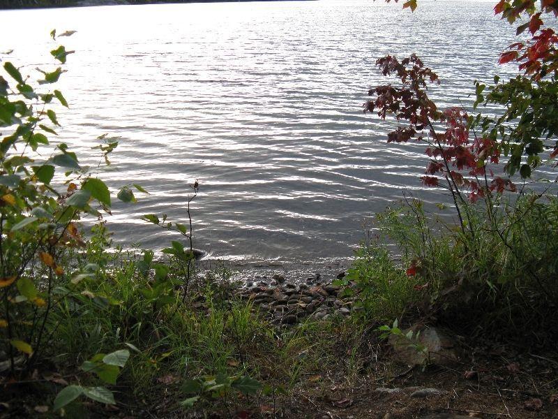 Waterfront Cottage Lot on Red Lake near Lake Lauzon Algoma Mills