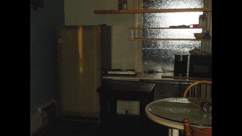 GLEBE - LARGE FURNISHED ROOM AVAILABLE IMMEDIATELY