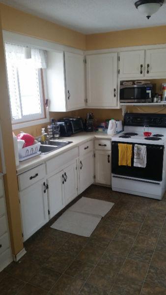 roommates wanted near Georgian College