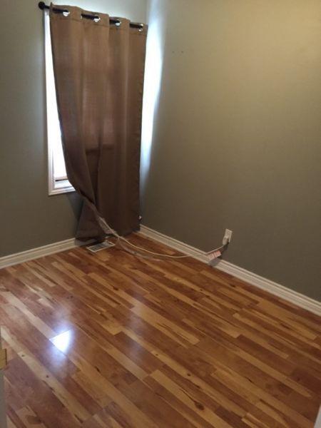 Looking for a roommate