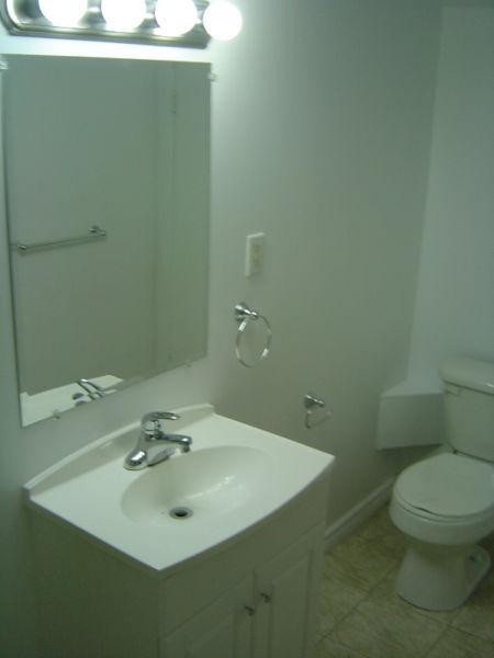 1br -$975 BRIGHT & COZY BASEMENT APT! UTILITIES INCLUDED!