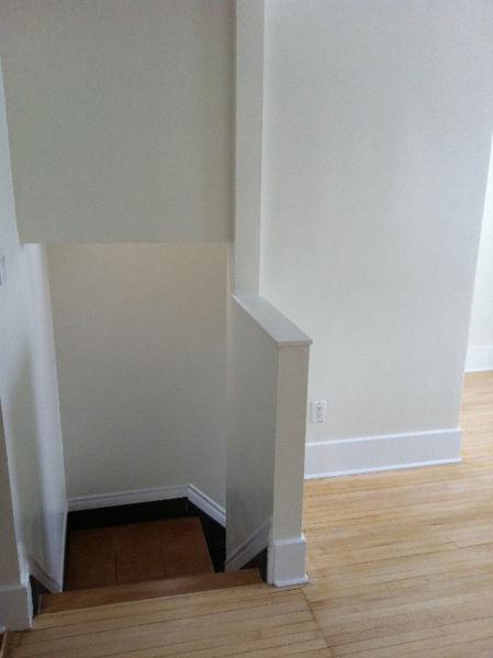 Awesome BRIGHT downtown 1 Bedroom upstairs apt