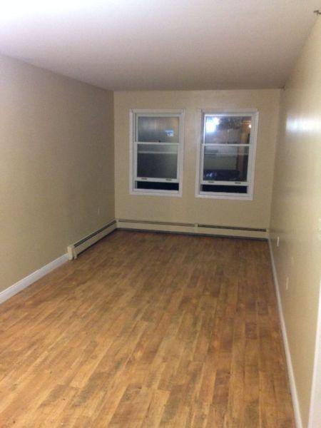 2 bedroom downtown apartment