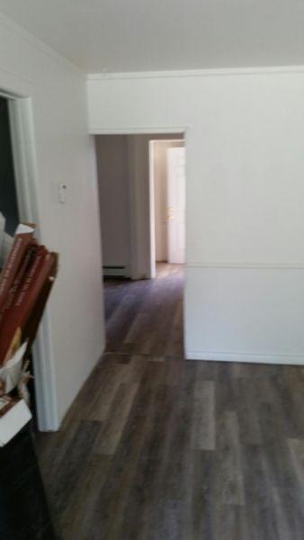 Renovated Triplex main floor 2bdrm - 125 Dwyer  On