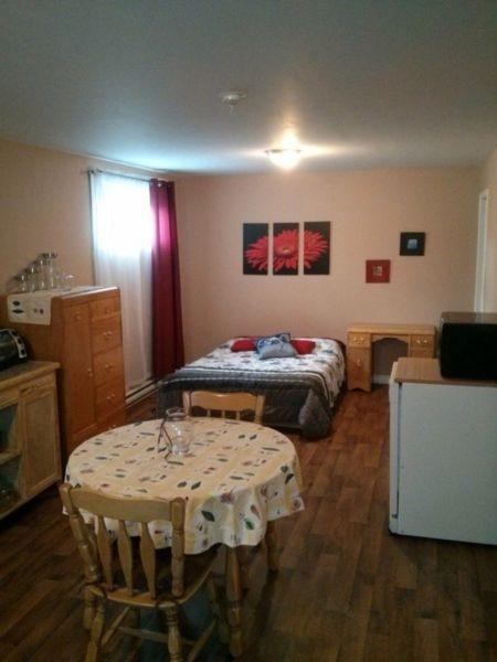 1 1/2 style loft tout fourmis