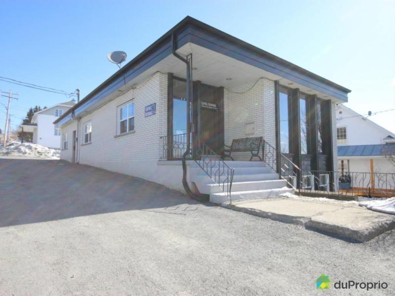 150 000$ - Commercial / Appartement à vendre à Lac-Etchemin