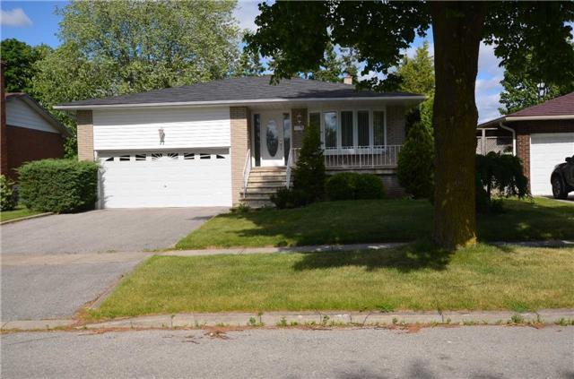 3+1 BEDROOM COZY HOUSE AVAILABLE IN AJAX BAYLY/HARWOOD