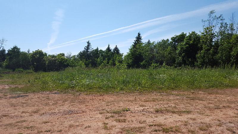 2 Lots for sale in Morell