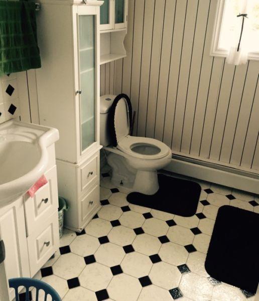 Female roommate needed ASAP/no damage deposit required/no pets