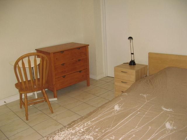 Large bright furnished 1 bdrm bsmt apt downtown available Aug 1