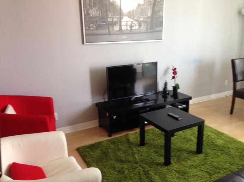 Furnished Luxurious 1 Bedroom + Den Condo Opp Square One