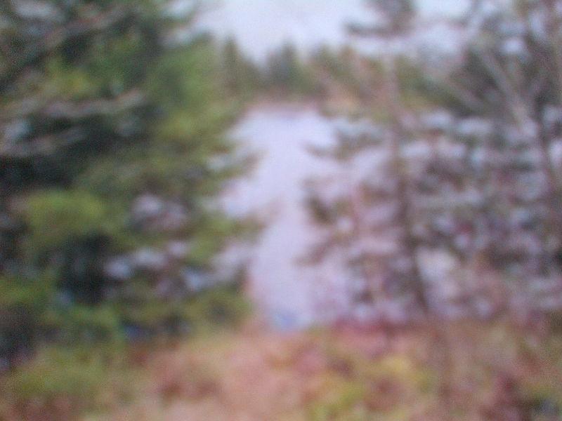 bord de l'eau, terrain boisé, Grand Lac St-François NÉGOCIABLE