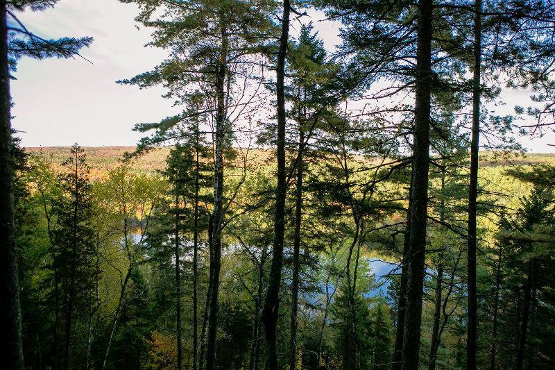 Hors du commun : vue sur le lac, aménagé et prêt à construire