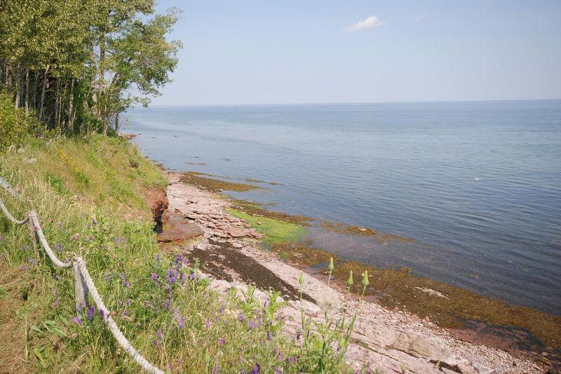 TERRAIN avec PETIT CHALET AU BORD DE L'EAU- à Port-Daniel