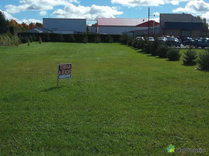 29 500$ - Terrain résidentiel à Ste-Agathe-de-Lotbinière