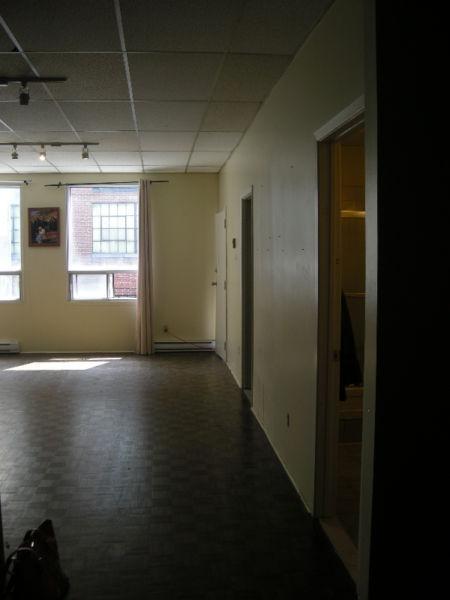 LOFT AU COEUR PLATEAU 5 min pieds métro 514-892-5779