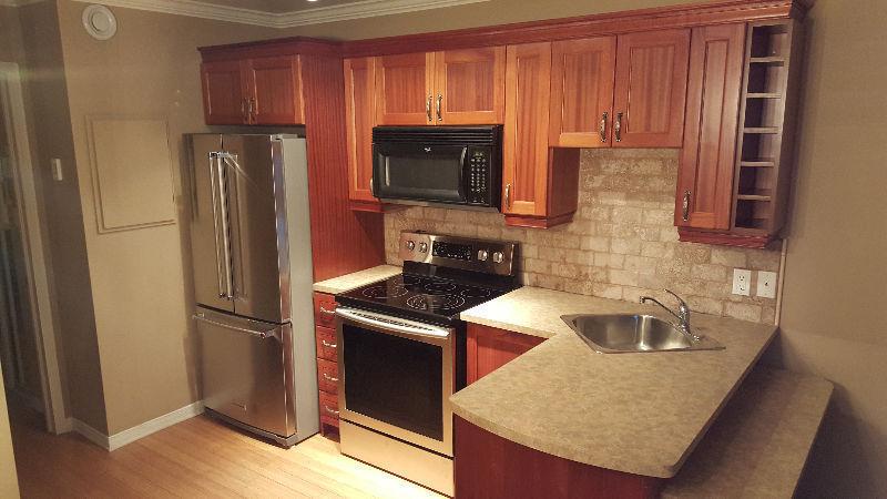 Furnished 1 Bdr. Apartment in St. Sauveur