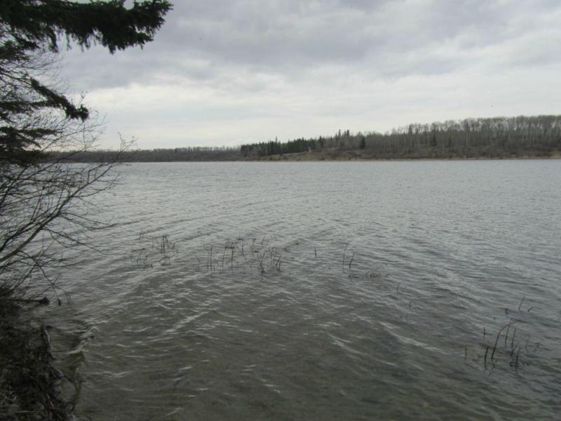 80 Acres - Murphy Lake