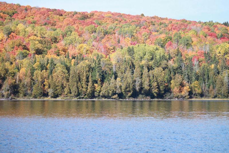 Magnifique propriété au bord du lac