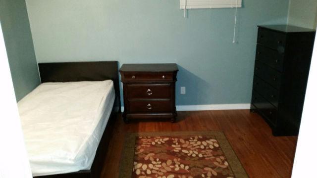 Furnished Room Available ASAP