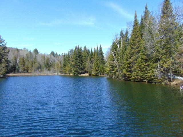 Terrain 26.5 acres Rawdon avec lac privé, ensemencé