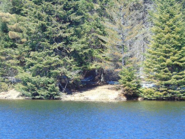 Terrain 26.5 acres Rawdon avec lac privé, ensemencé