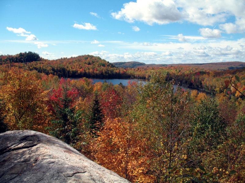 Terrain à vendre accès au lac Creux  Mandeville