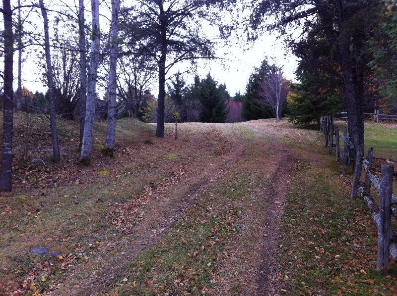 Terrain et bâtiment à vendre à Témiscouata sur le lac