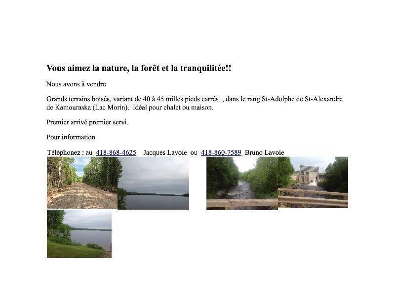 Terrains boisés pour chalet ou maison