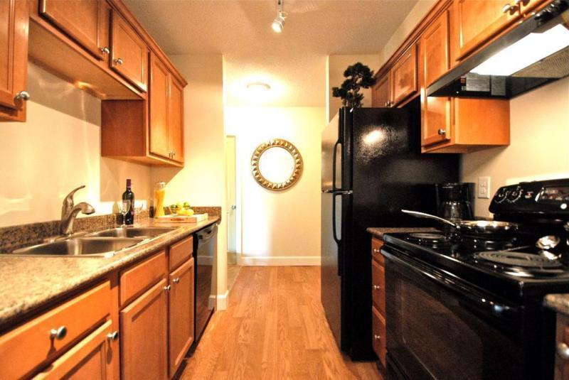 Spacious Newly Renovated One Bedroom Apartment Available!
