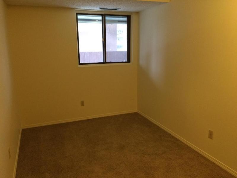 Ground-Floor 1-bd w/ Private Entry + Insuite W/D, Great location