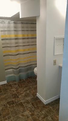 1 Bedroom Basement Suite in Nutana $825 Utilities Included