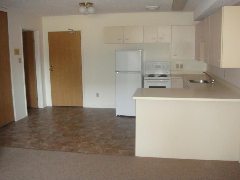 AVAILABLE: NEWLY RENOVATED 1 BEDROOM 1224 7th AVE. N (CITY PARK)
