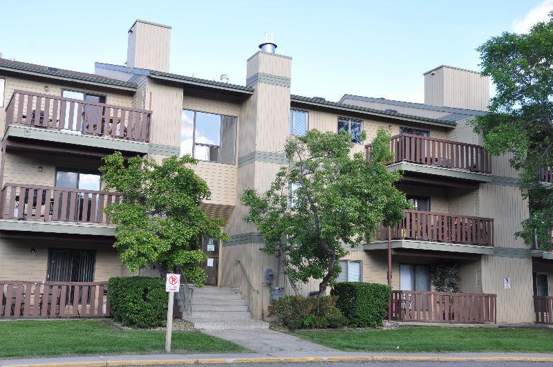 2 bedroom apartment on Mckercher Drive for rent - avail Sept 1st