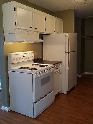 316-111B Wedge Rd condo for rent