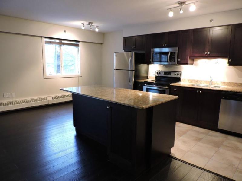 Downtown 2 Bedroom Condo for Rent