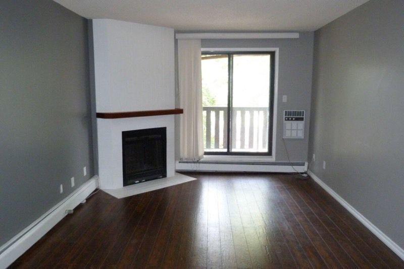 Newly renovated 2 bedroom Condo