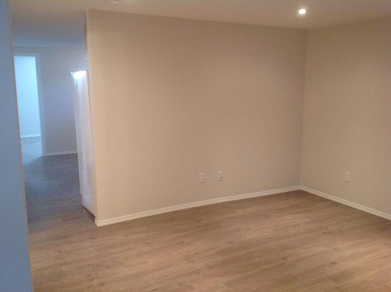 Small Pet OK New 2BR basement suite behind 8th Superstore