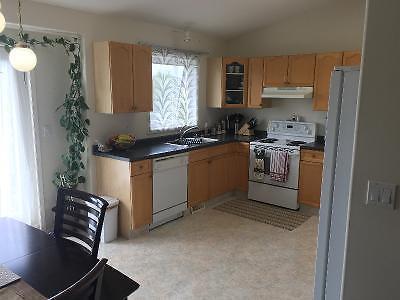 Spacious Bi Level for rent on eastside very close to schools