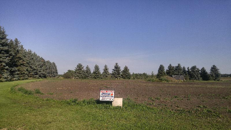 Beautiful Birch Hills Building Lot