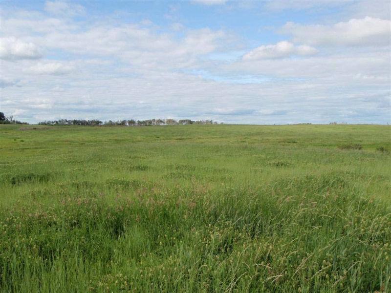 Hay & Pasture Land For Sale - 160 Acres