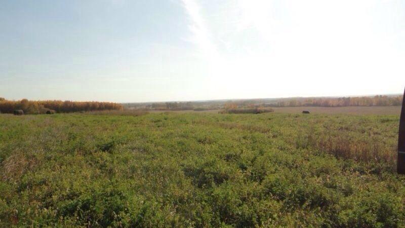 HAYLAND FOR SALE OR RENT