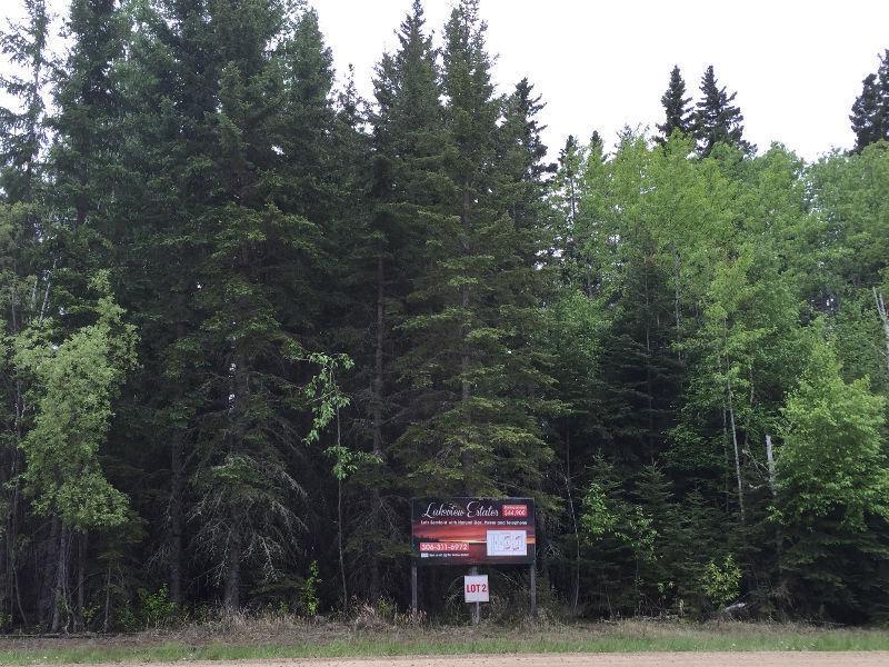 Large Candle Lake Lot, 70 x 200 Ft Desirable Location - $69,900