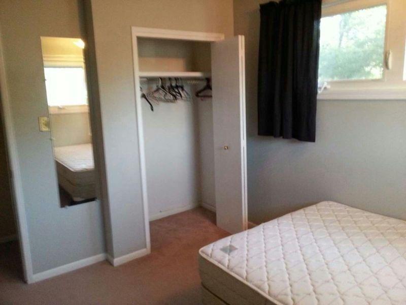 BIG ROOM AVAILABLE SOUTH GOLDEN MILE and SOUTHLAND MALL