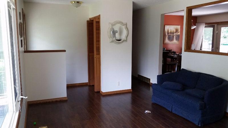 Roommate wanted - only thing shared is kitchen and laundry