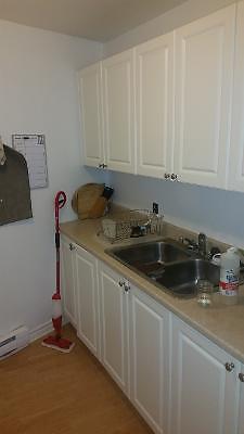 Downtown Large all inclusive 1 bed available Oct 1st