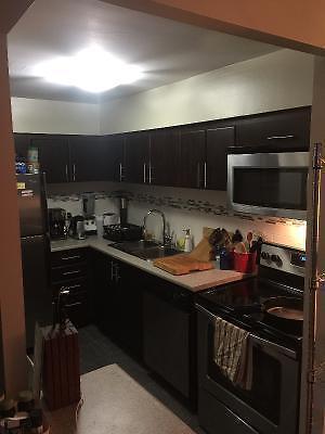 1bdrm-All Incl-Parking-Renovated - 3 Month Lease Option