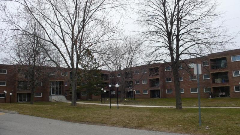 EIWO Canadian Management Ltd. - 1 BEDROOM UNIT FOR RENT